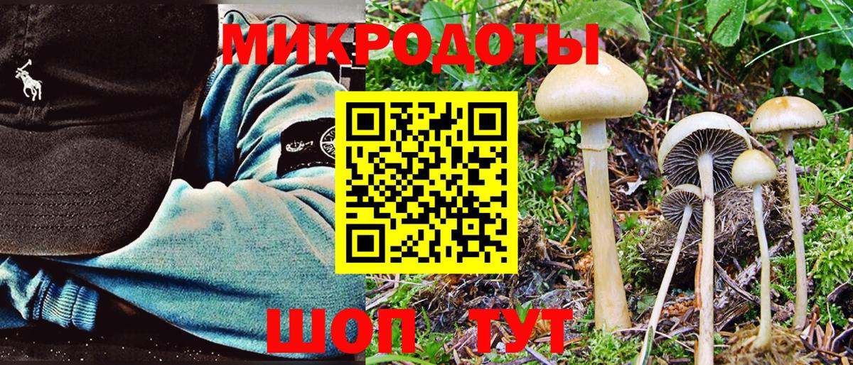 Лабытнанги  наркота  Вход с VPN  Псилоцибиновые грибы ЛСД  Галлюциногенные грибы Psilocybe 