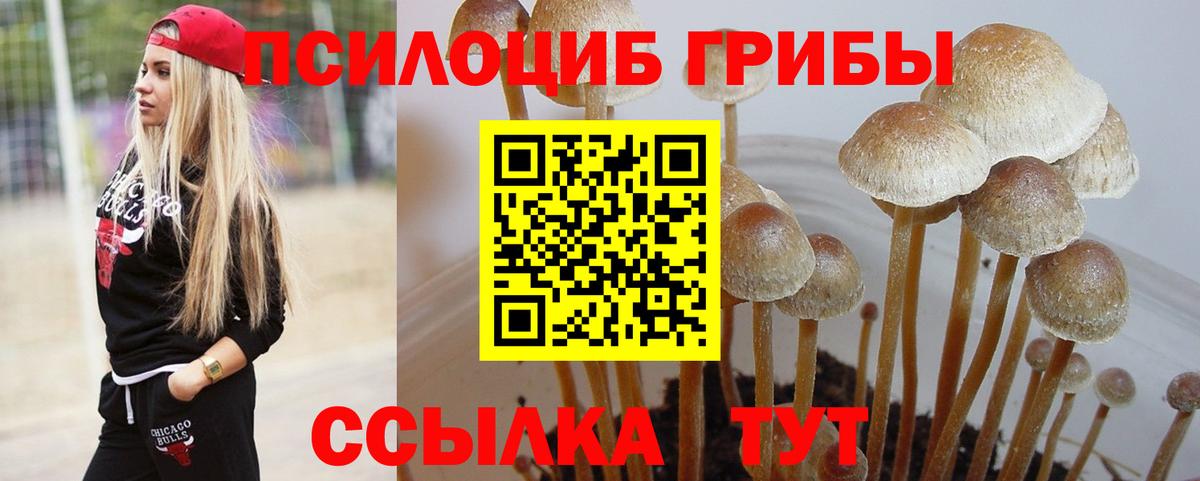 Галлюциногенные грибы мухоморы Лабытнанги